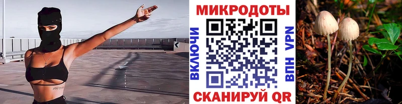 Псилоцибиновые грибы Psilocybine cubensis  Пионерский 
