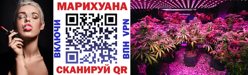 Конопля White Widow Пионерский