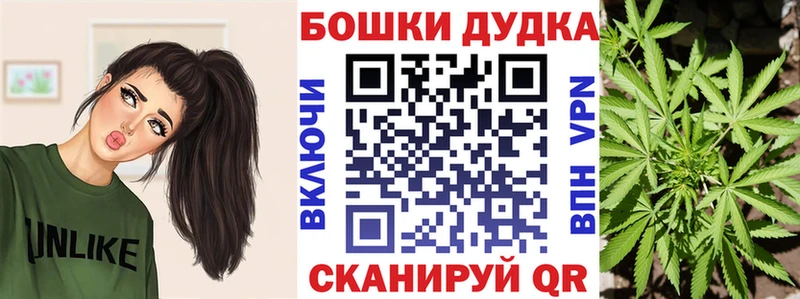 купить  цена  Пионерский  Канабис OG Kush 